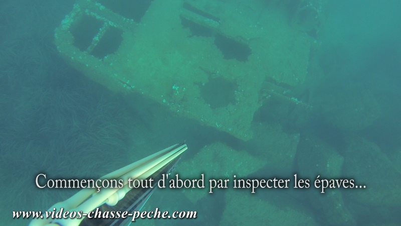 Chasse sous-marine en méditerranée